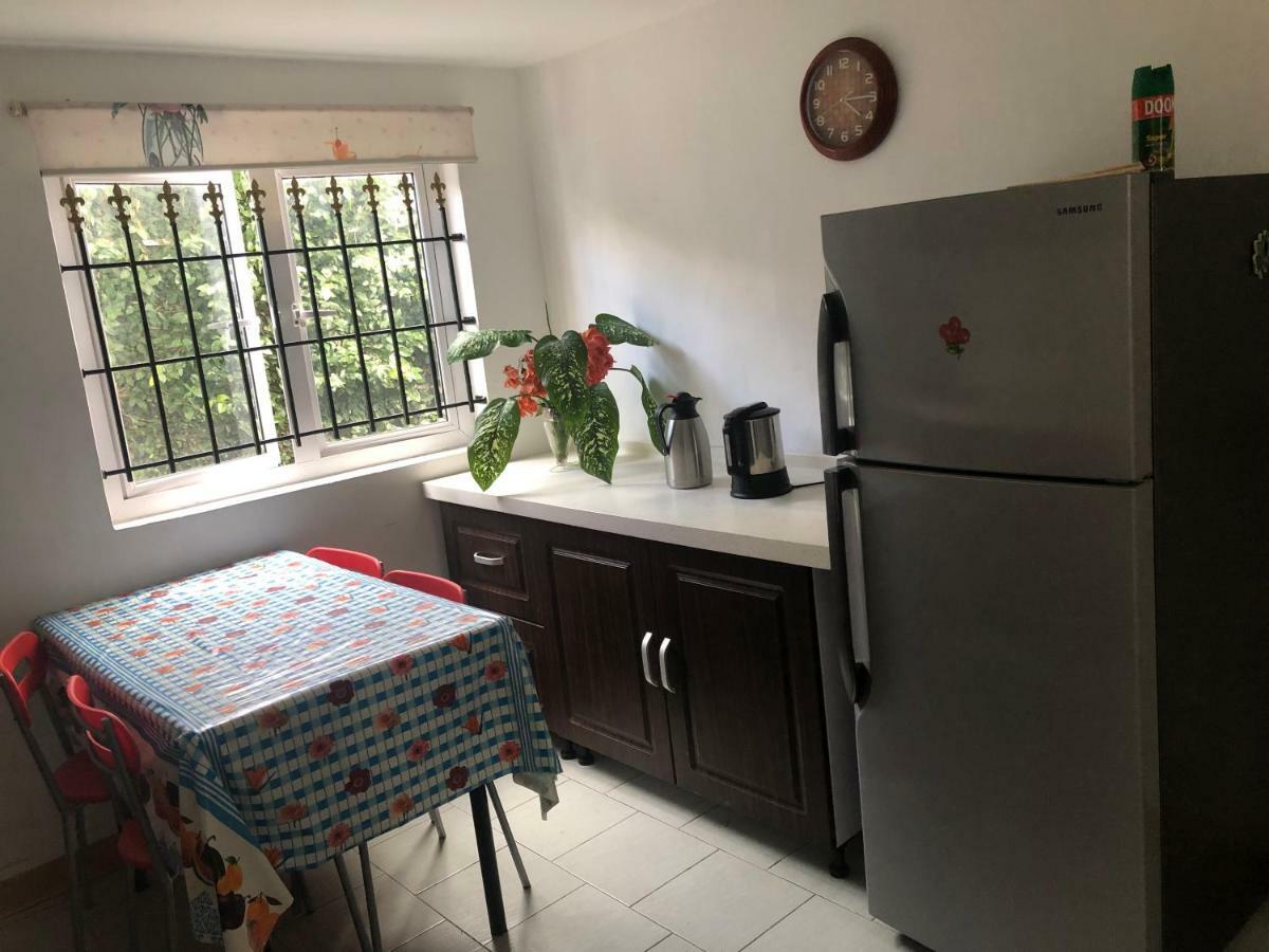 Homestay Lemon House *